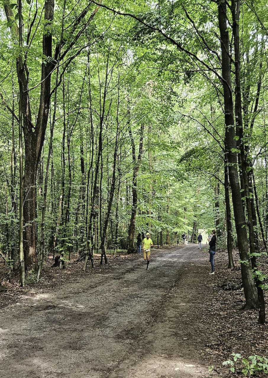 laufsport ausdauer natur